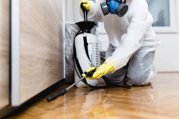 Best Pest Control for Businesses  in Damascus, MD