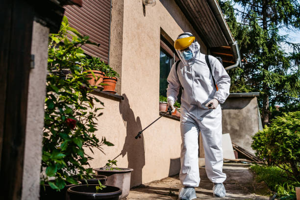 Best Insect Control  in Damascus, MD