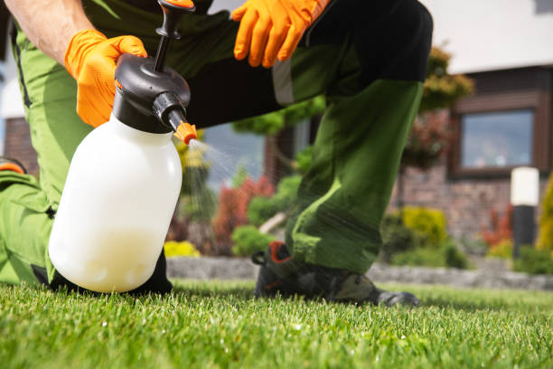 Best Best Pest Control Companies  in Damascus, MD