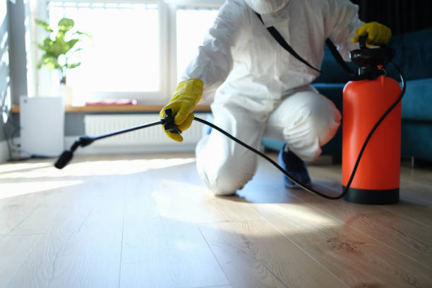 Best Local Pest Control Services  in Damascus, MD