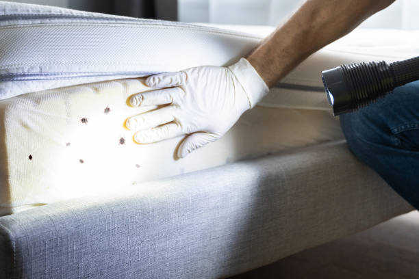 Best Best Pest Control Companies  in Damascus, MD