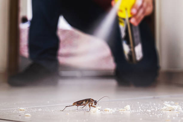 Damascus, MD Pest Control Company