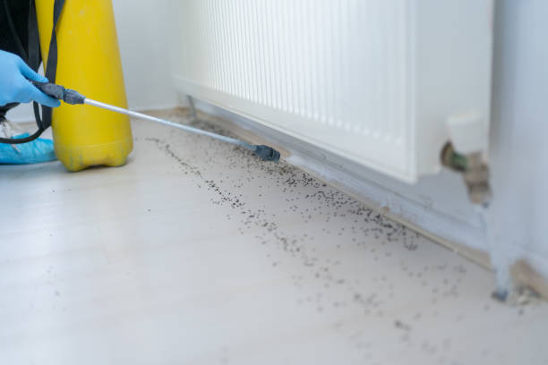 Best Pest Removal Services  in Damascus, MD